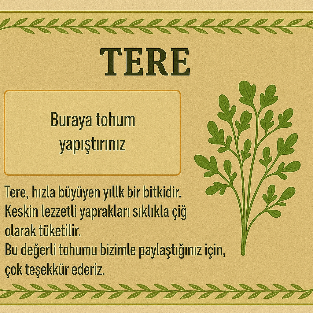 Tohum 10