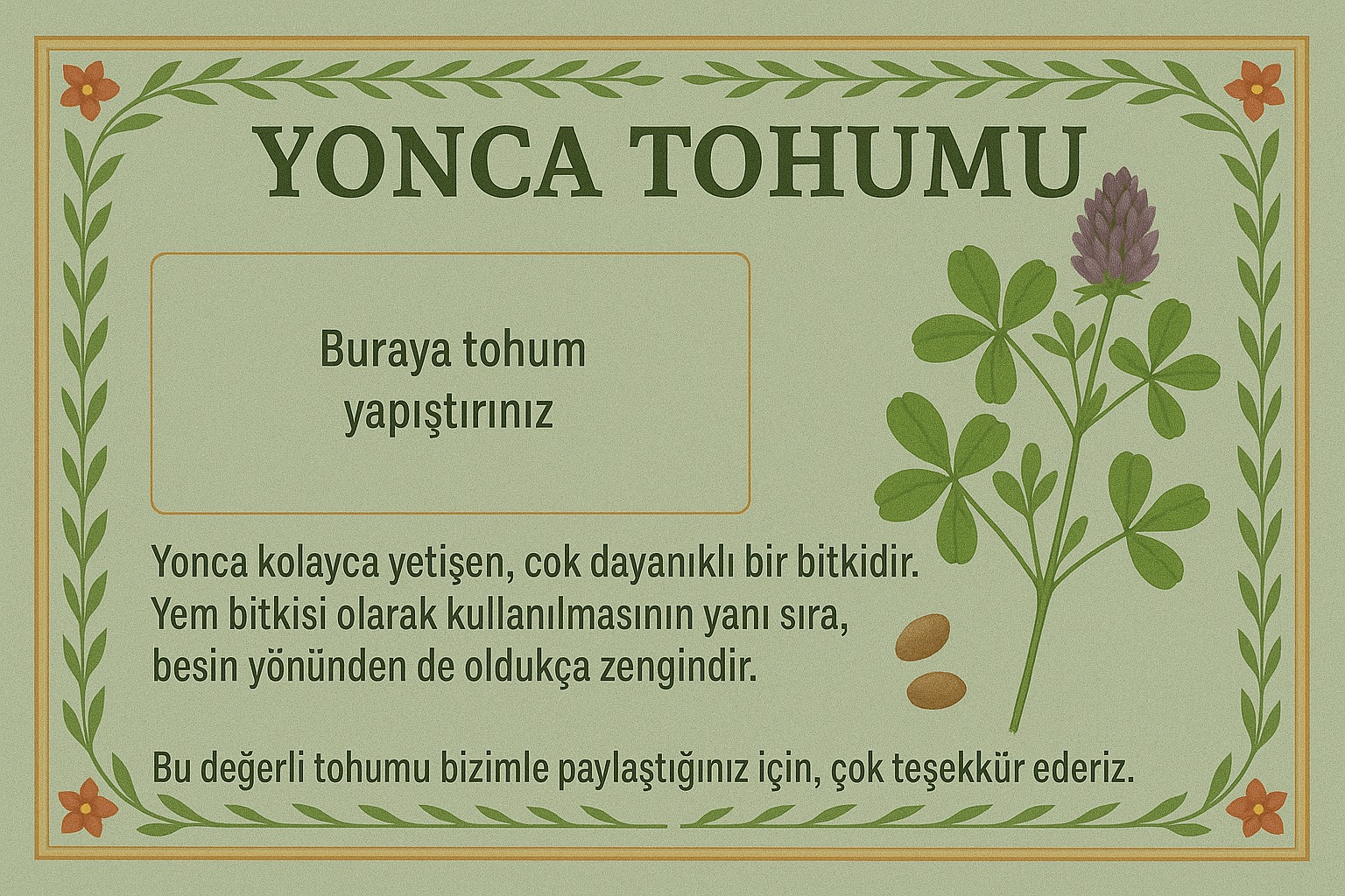 Tohum 20