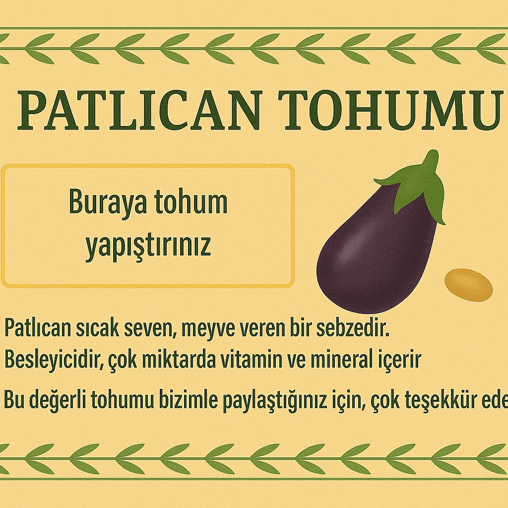 Tohum 25
