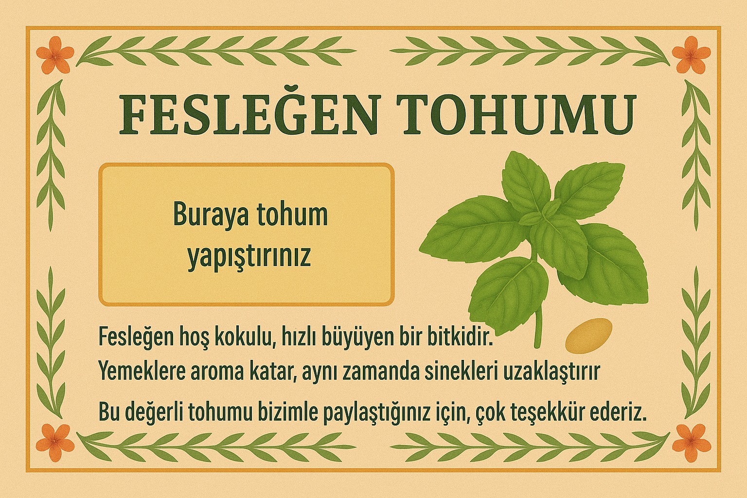 Tohum 3