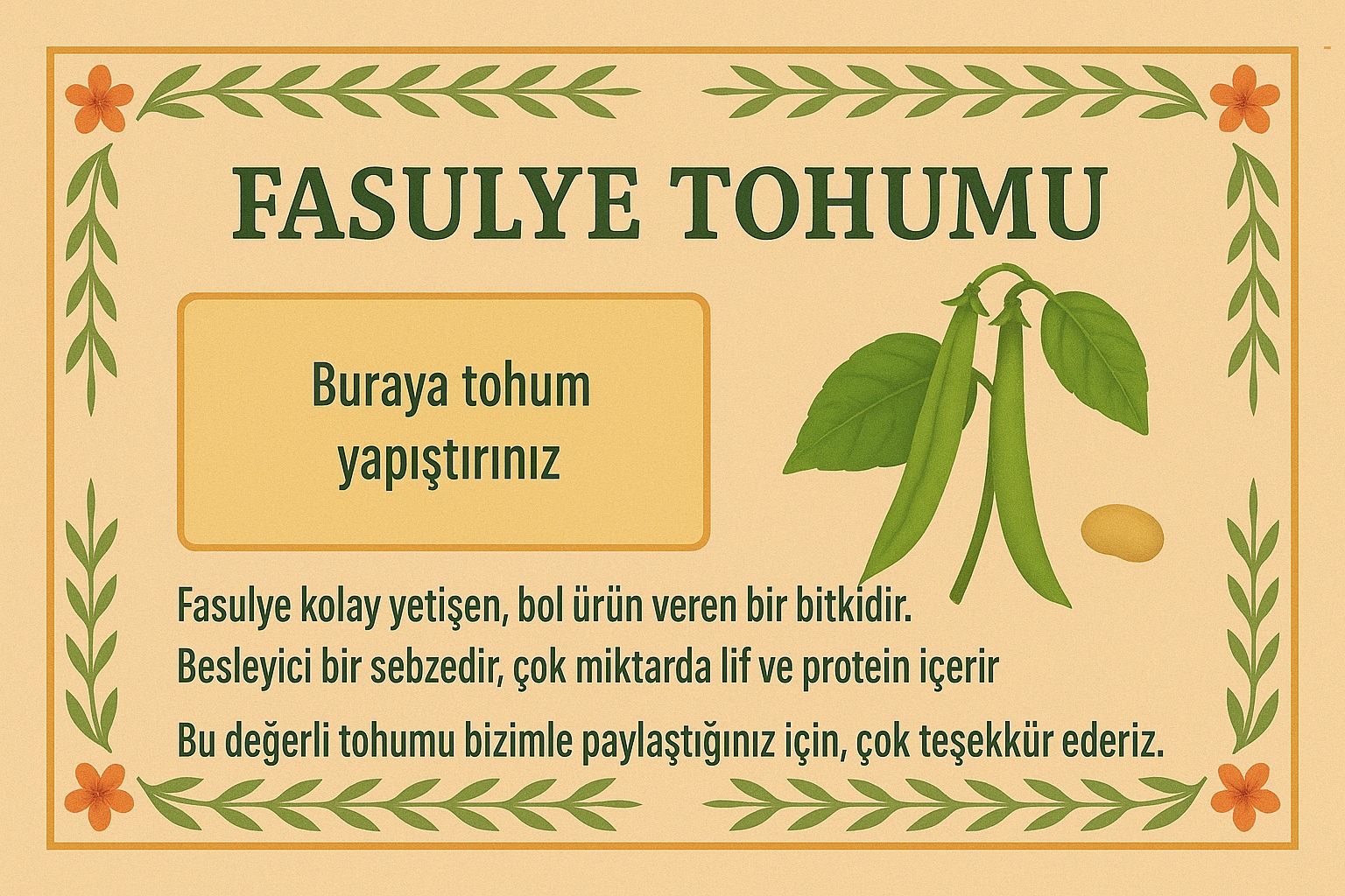 Tohum 4